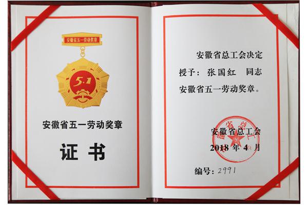 张国红 五一劳动奖章
