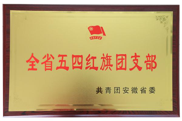 全省五四红旗团支部