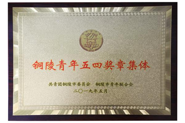 铜陵青年五四奖章集体