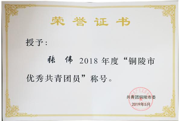 张伟 荣誉证书